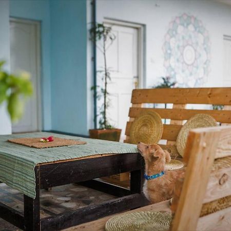 Ananda Tree House Eco Homestay Kathmandu Bagian luar foto